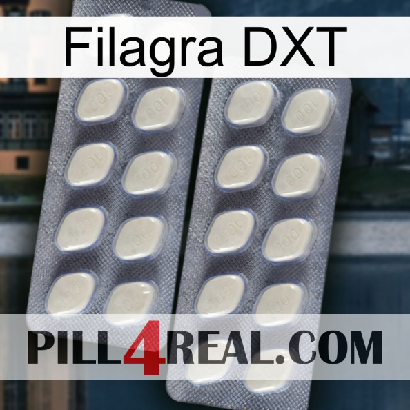 Filagra DXT 07.jpg